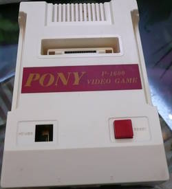 Pony