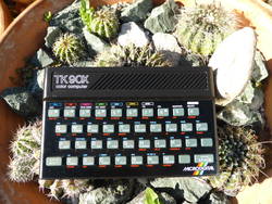 Microdigital TK90X
