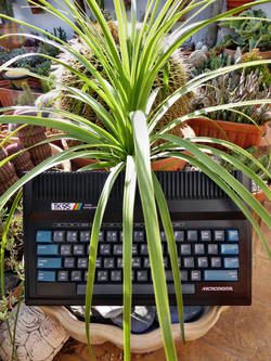 Microdigital TK95