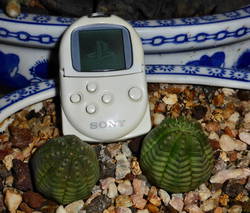 PocketStation