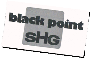 Logo BlackPointSHG