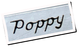 Logo Poppy