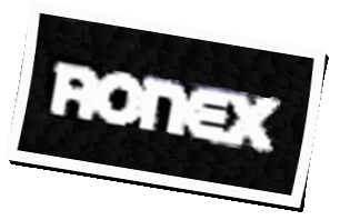 Logo Ronex