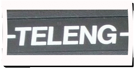 Logo Teleng