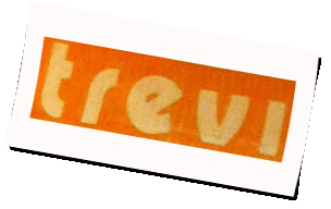 Logo Trevi