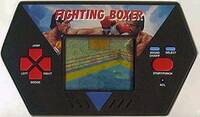 Fighting Boxer