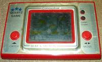 Bear And Salmon