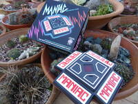 Maniac Electronic Game