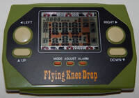 Flying Knee Drop