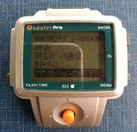 Seiko Ruputer